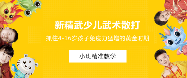 上海新(xin)精(jīng)武少兒武術(shù)