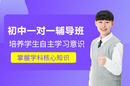 上海初中(zhong)一(yi)對一(yi)輔導(dao)班