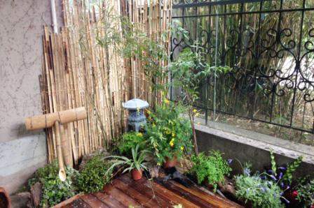 上海千景花(huā)物(wù)語學(xué)苑_